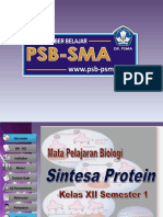 Sintesa Protein