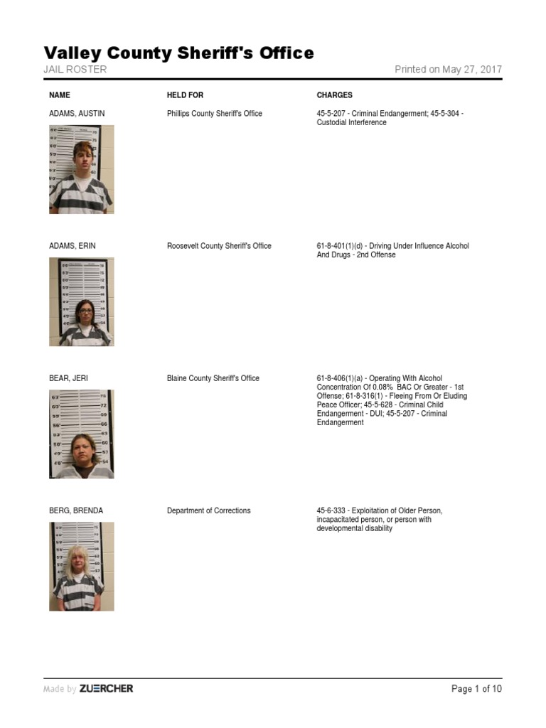 Valley County Jail Inmate Roster | PDF