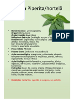 Ficha de Menta