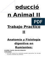 Trabajo Practico I