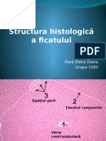 Structura Histologică A Ficatului