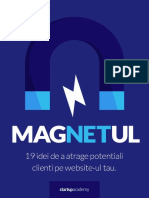 Magnetul PDF