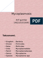 Mycoplasmosis