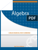 AlgebraALIAT.pdf