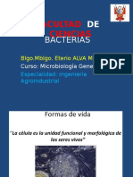 Bacterias CLASE 2