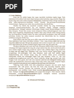 Download Struktur Biji Dan Buah by Irwandi SN349611213 doc pdf