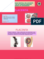 Placenta Todo