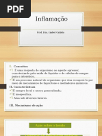 Inflamação.pptx