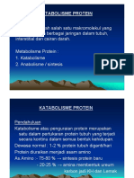 metabolisme-protein.pdf