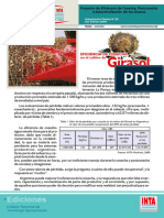 Eficiencia en La Cosecha de Girasol en Argentina (Para La Resolución Del TP #4)