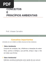 Conceitos e Principios Ambientais