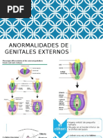 tipos-de-himen-pdf