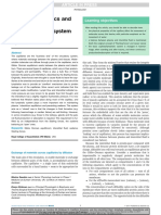 Capillary Dynamics and The Interstitial Fluidelymphatic System