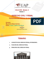 CLASE 5 Derecho Penal, Caracteristicas