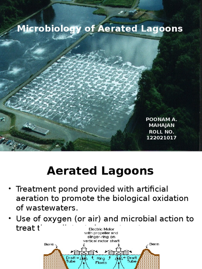 Microbiology of Aerated Lagoons | PDF | Sewage Treatment | Decomposition