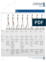 400w43 e Poster Gangphasen Druck PDF