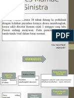 24 PPT Abses Mamae