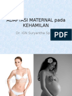 Adaptasi Maternal Pada Kehamilan