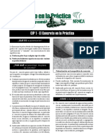 CIP1es-Pulverizacion 