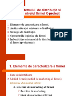 Analiza Sistemului de Distribuţie Si Logistica La Nivelul Firmei X-Proiect