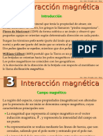 Interaccion Magnetica