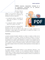 aparato-respiratorio.pdf