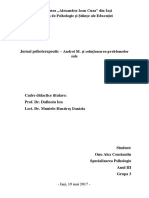 Jurnal - Introducere În Psihoterapie - Alex Constantin Onu