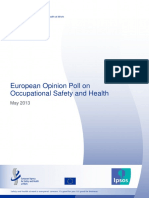 2013 - European Opinion Poll On Occupational Safety and Health PDF