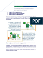 Destilacion aceites escenciales.doc