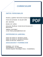 (Curriculum Vitae) Noe