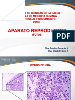 Aparato Reproductor _ fotos(1).pdf