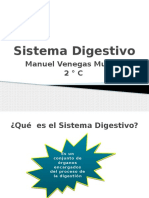 Sistema Digestivo MVM