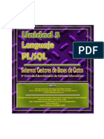 PL_SQL_Unidad 5.pdf