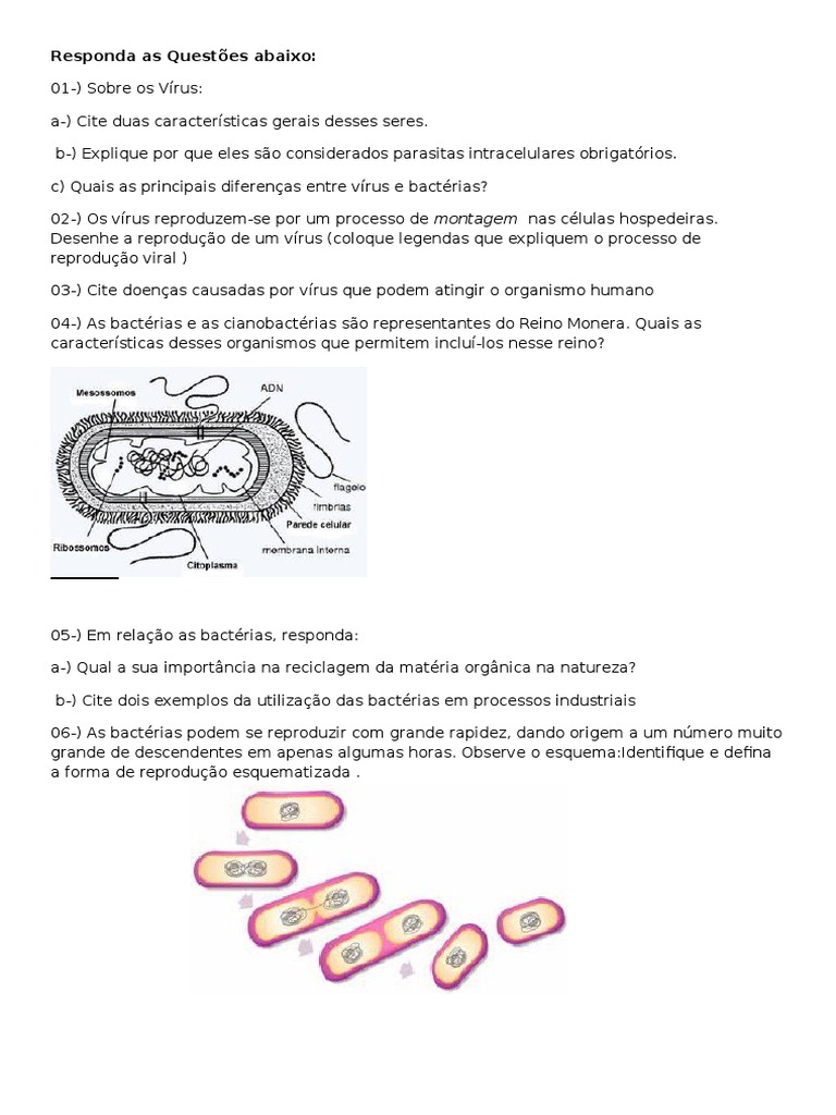 Questões Virus e Bacterias | PDF