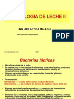 Bacterias Lacticas 