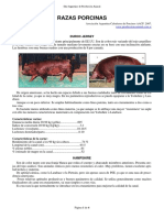 45-razas_porcinas.pdf