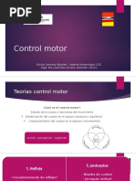 Control Motor