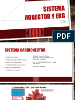 Sistema Cardionector y Ekg