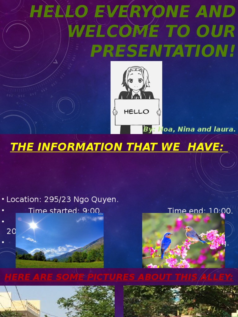 Community Presentation on Alley Issues | PDF | Lifestyle