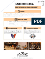 Programa Bartender Profesional PDF