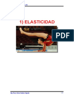 Cap-1-Elasticidad-MEJORADO-SA0301152304.doc