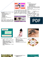 Leaflet Chikungunya