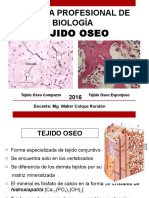 Tejido Oseo