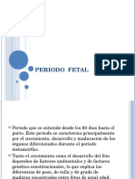 Periodo Fetal