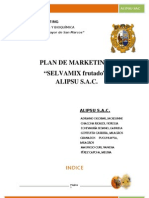 Plan de Marketing Selvamix Frutado