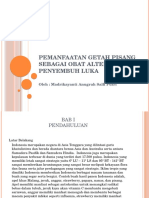 Pemanfaatan Getah Pisang Sebagai Obat Alternatif Penyembuh Luka