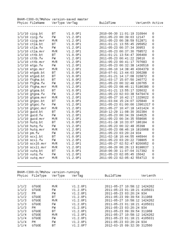 Olt c300 Software Version | PDF | Technology & Engineering