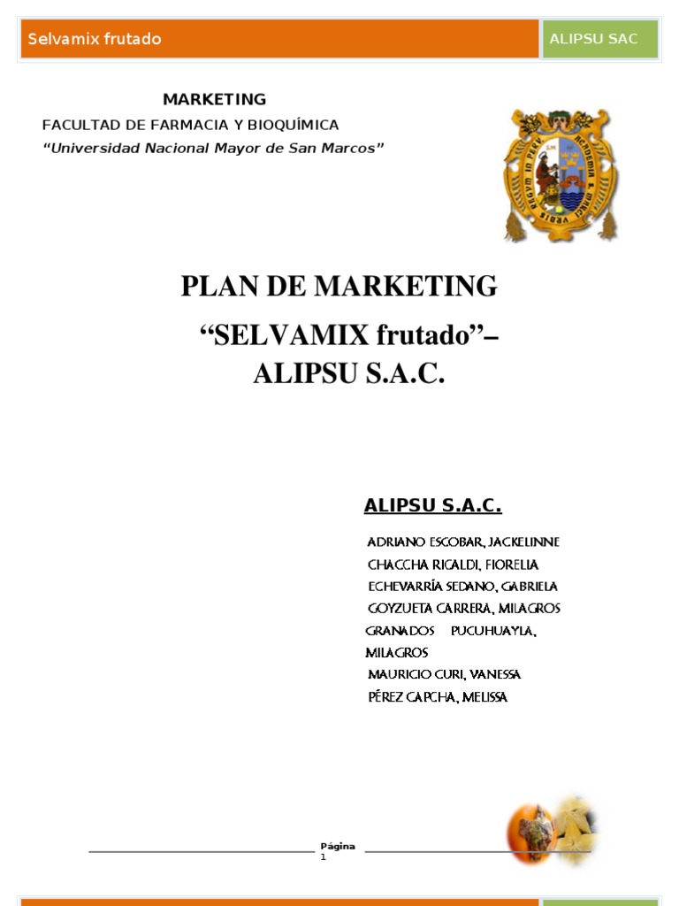 Plan De Marketing Selvamix Frutado Final Producto Negocio Negocios