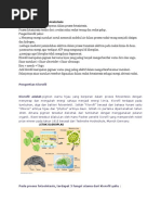 Download Peran Klorofil Dalam Fotosintesis by Dara Permatasari SN349738474 doc pdf