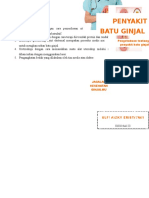 Leaflet Batu Ginjal